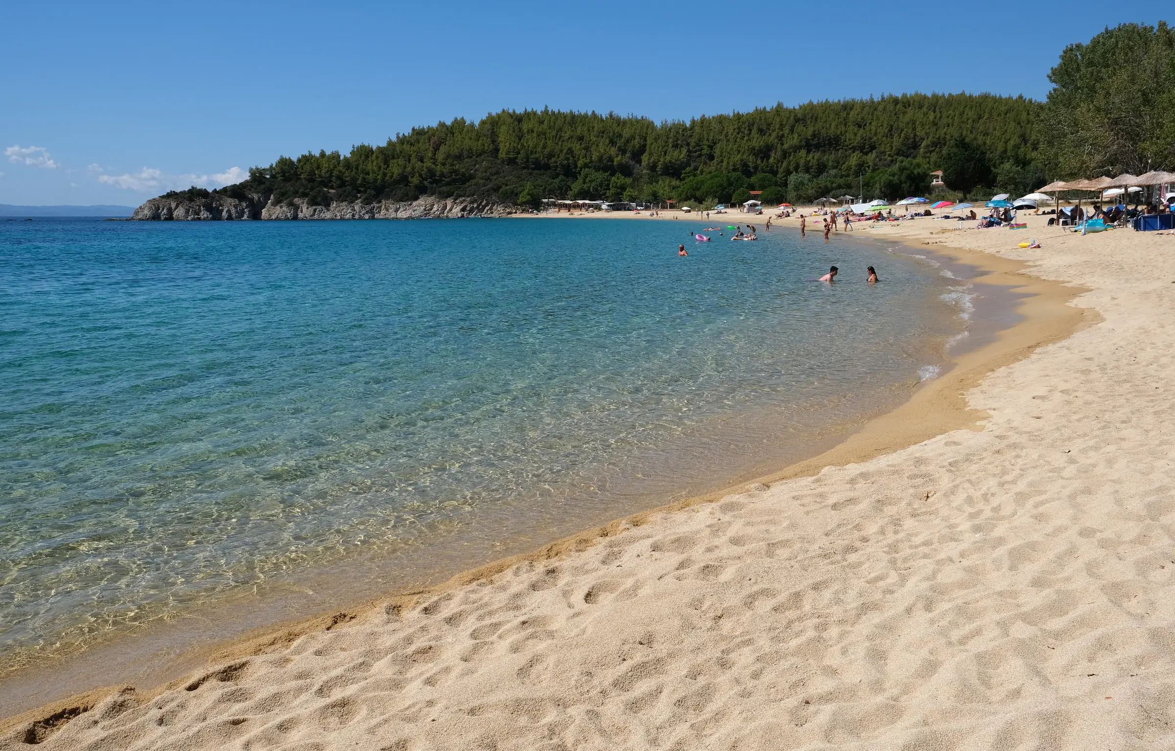Destenika beach, pines down to the sand and clear turquoise water