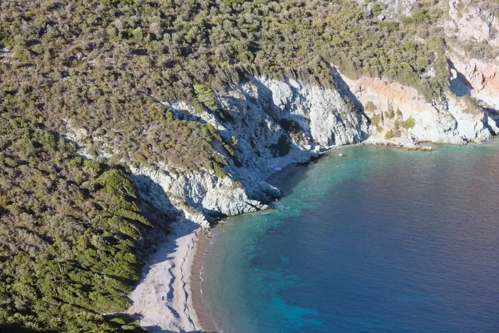 A small cove of white rock and pines, seen from above